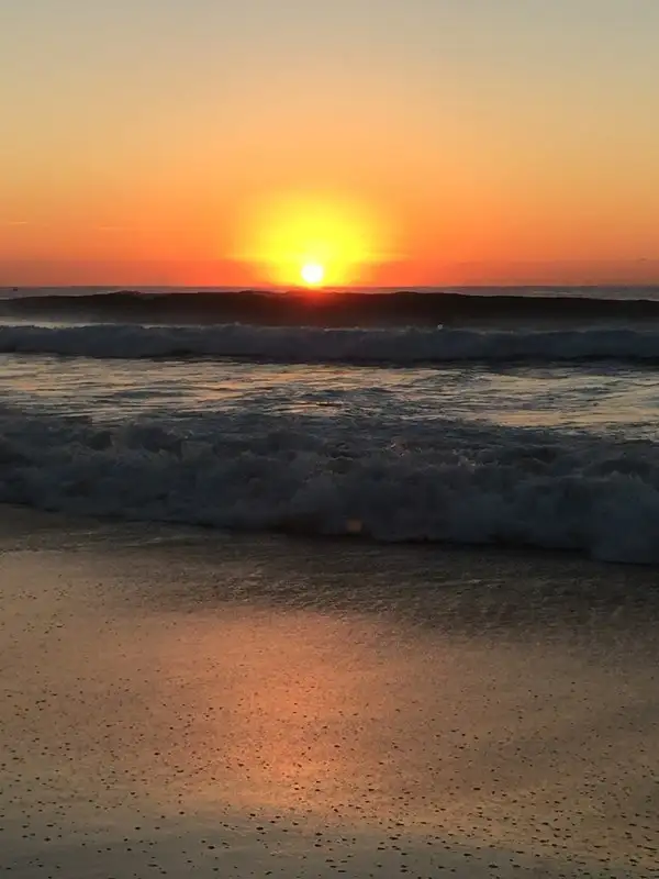 105 Point Cartwright Drive, Buddina QLD 4575