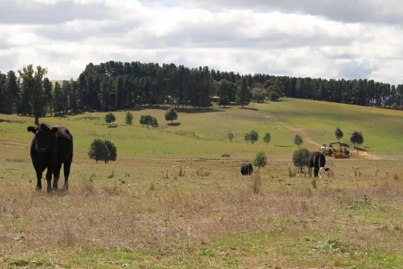 Main view of Homely rural property listing, Address available on request