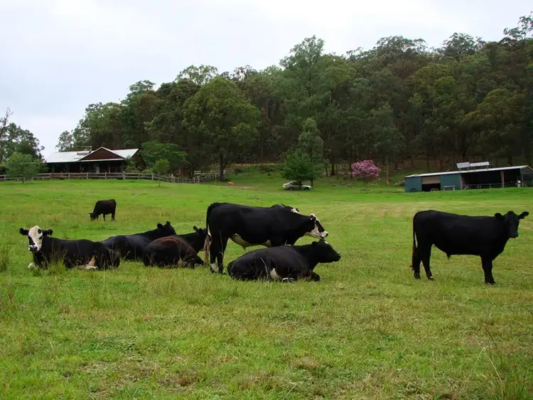 Fifth view of Homely rural property listing, Address available on request