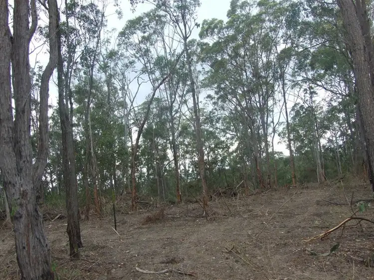 Fifth view of Homely rural property listing, L204 Dahl Road, Crows Nest QLD 4355