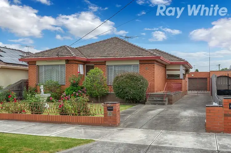 Main view of Homely house listing, 37 Currajong Street, Thomastown VIC 3074