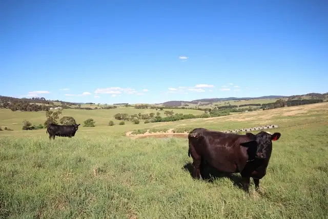 Fifth view of Homely rural property listing, 235 Duckmaloi Road, Oberon NSW 2787