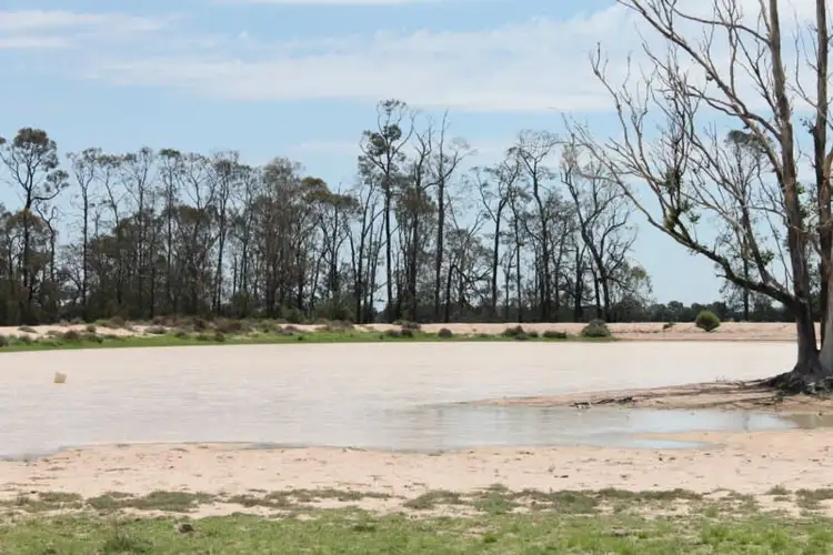 Second view of Homely rural property listing, . Millmerran-Cecil Plains Road, Cecil Plains QLD 4407