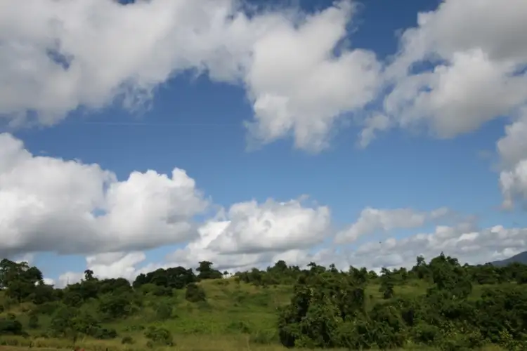 Fifth view of Homely rural property listing, 239 Dunne Road, East Palmerston QLD 4860