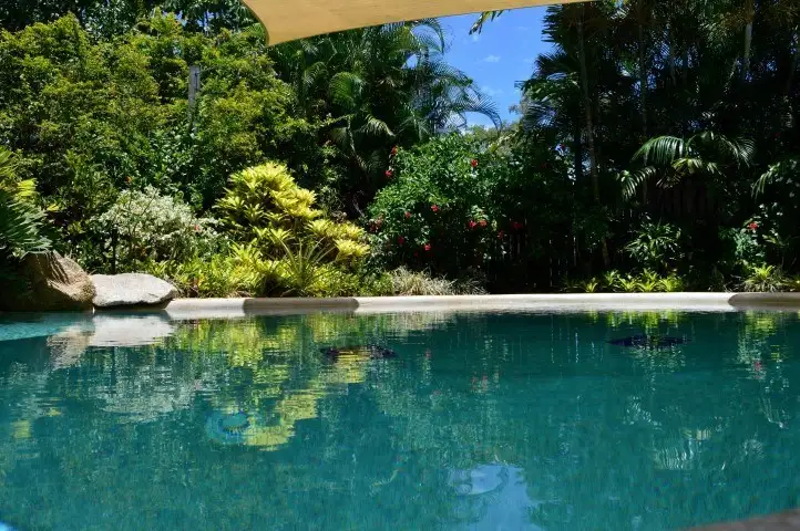 159 Reid Road, Wongaling Beach QLD 4852