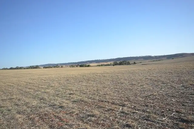 Fifth view of Homely rural property listing, HVandChimney Brady Creek and Kotz Road, Robertstown SA 5381