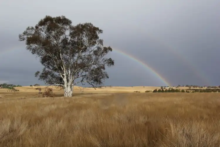 Main view of Homely rural property listing, 34 Birril Close., Springrange NSW 2618