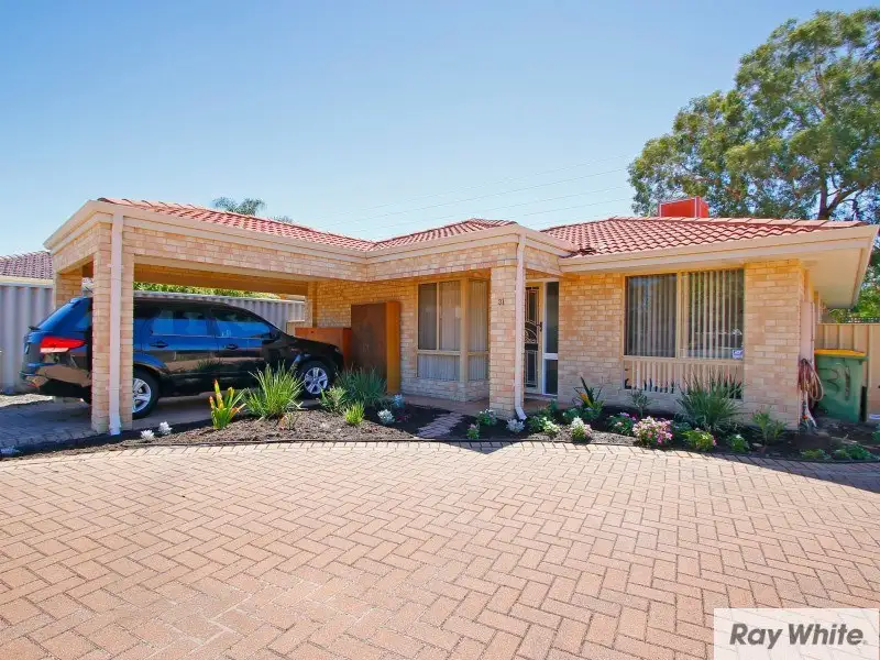 Main view of Homely house listing, 31 Blenny Close, Cannington WA 6107