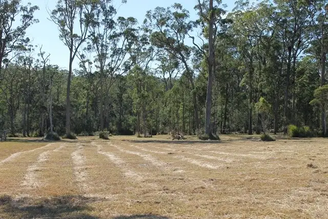 35 Lake Ridge Drive, Kew NSW 2439