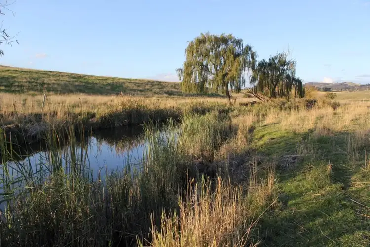 Sixth view of Homely land listing, Lot 1 Wallaroo Road., Wallaroo NSW 2618