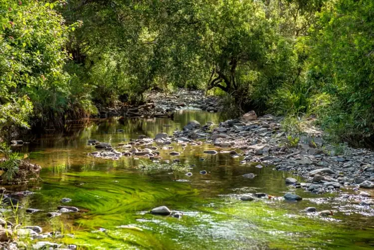 Second view of Homely rural property listing, 392 Moorina Road, Moorina QLD 4506