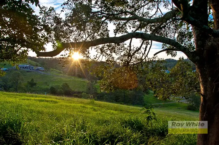 Sixth view of Homely land listing, 0 Dobsons Road, Clear Mountain QLD 4500