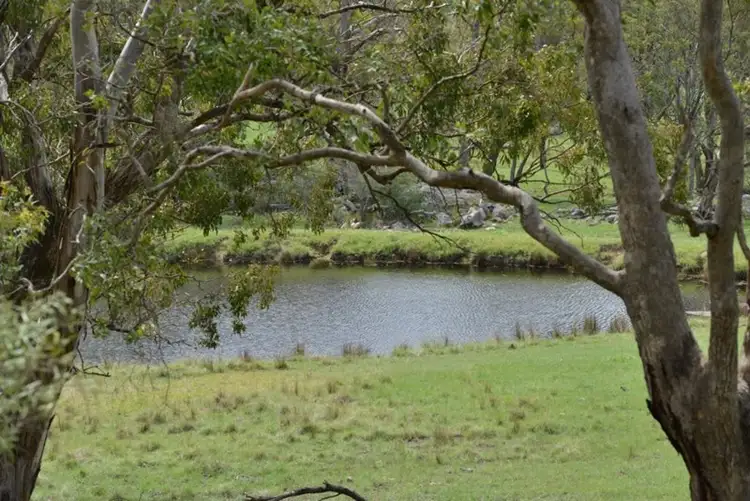 Seventh view of Homely rural property listing, 711 Bruxner Way, Tenterfield NSW 2372