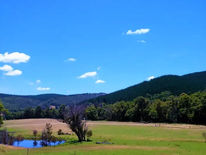 Fourth view of Homely rural property listing, Lot 84 Balingup Nannup Road, Nannup WA 6275