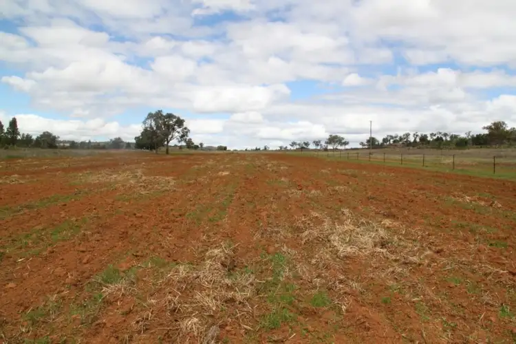 Seventh view of Homely rural property listing, 1194 Rushes Creek Road, Manilla NSW 2346