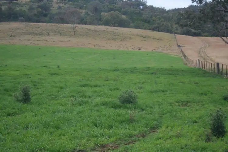 Sixth view of Homely rural property listing, Bora Bora Link Road, Dinoga NSW 2404