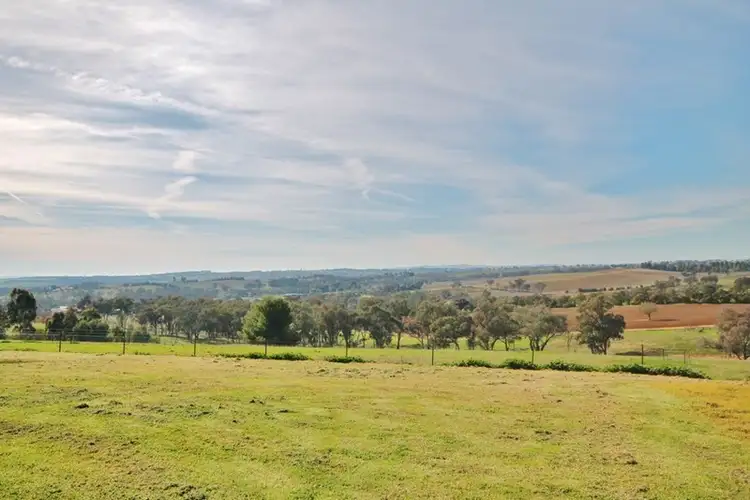 Third view of Homely rural property listing, 180 Henry Lawson Way, Young NSW 2594