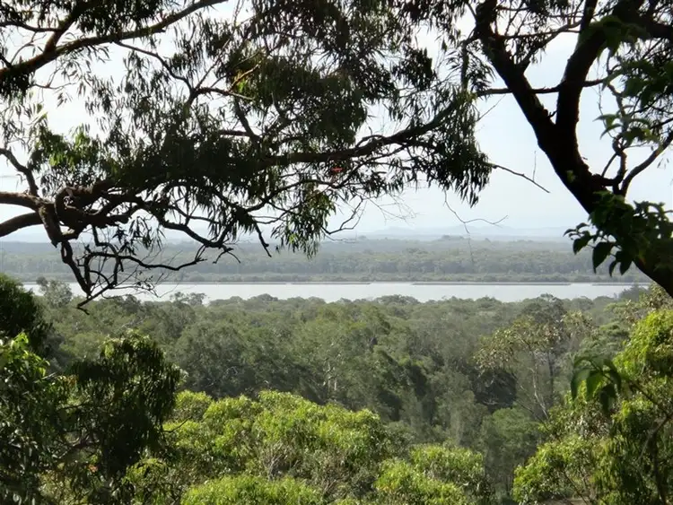 Fourth view of Homely rural property listing, 3439 Nelson Bay Road, Bobs Farm NSW 2316