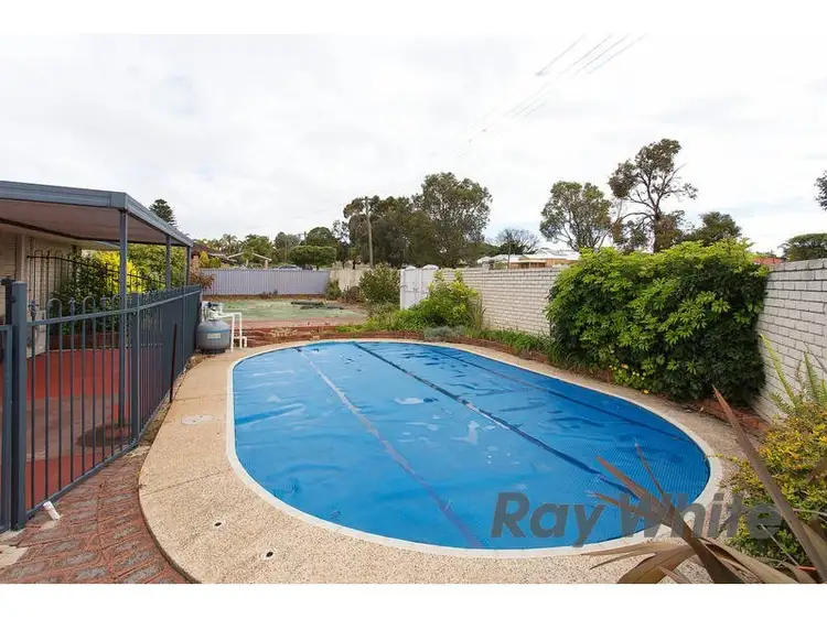 Fourth view of Homely house listing, 14 Williamson Road, Kardinya WA 6163