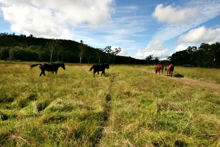 Third view of Homely rural property listing, Lot 1 Redhead Road, Koumala QLD 4738