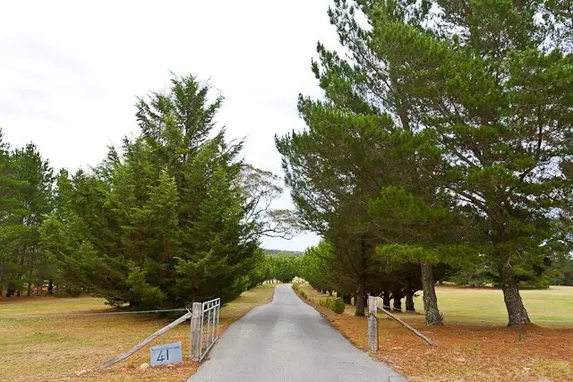 Third view of Homely house listing, 41 Merino Vale Drive, Wamboin NSW 2620