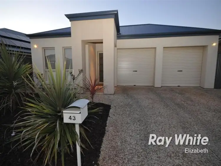 Second view of Homely house listing, 43 Swinden Crescent, Blakeview SA 5114