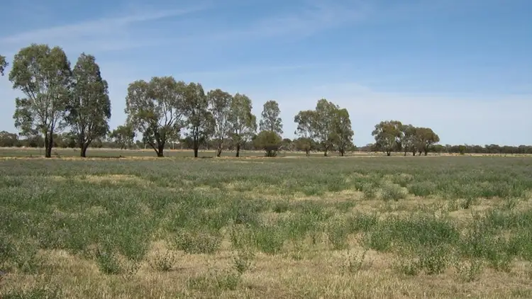 273 Vinnecombes Road, Calivil VIC 3573