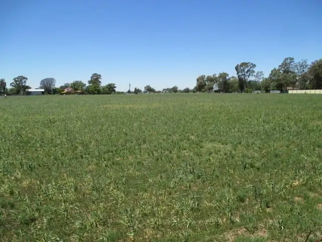 Fourth view of Homely land listing, Lot 3 Carinda Road, Coonamble NSW 2829