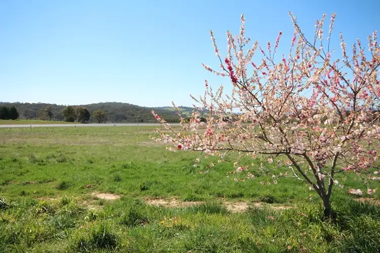 Third view of Homely land listing, 2A Blenheim Avenue, Oberon NSW 2787