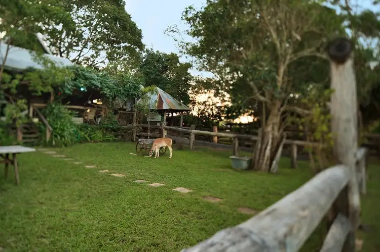 Fifth view of Homely house listing, 55 Happy Jack Creek Road, Ridgewood QLD 4563