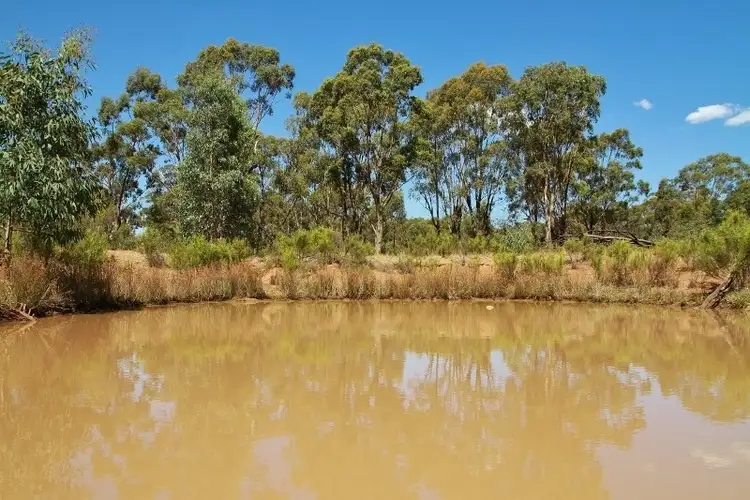 Seventh view of Homely rural property listing, 200 Pook Road, Heathcote VIC 3523