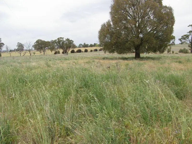 Main view of Homely rural property listing, 821 Scenic Drive, Manildra NSW 2865