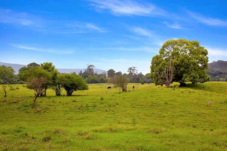 Third view of Homely rural property listing, 1012 Orara Way, Nana Glen NSW 2450