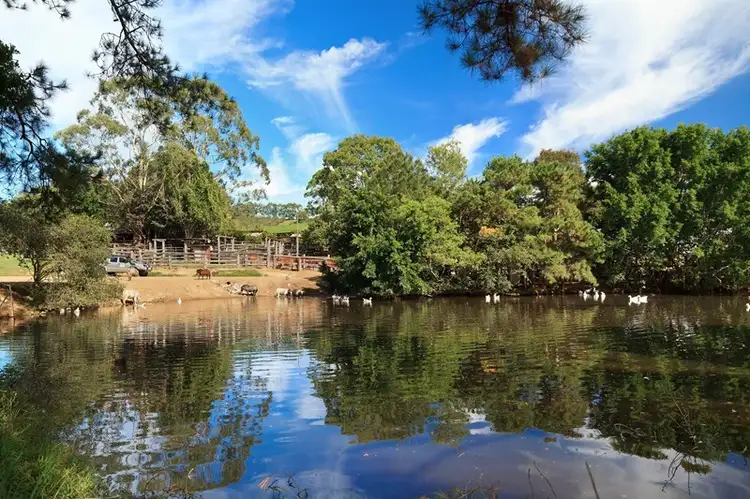 Fourth view of Homely house listing, 55 Happy Jack Creek Road, Ridgewood QLD 4563