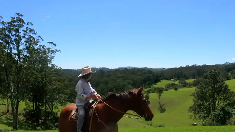 Main view of Homely rural property listing, 245 Deer Vale Road, Dorrigo NSW 2453