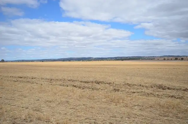 Second view of Homely rural property listing, "NJ's" Tarnma Road, Marrabel SA 5413