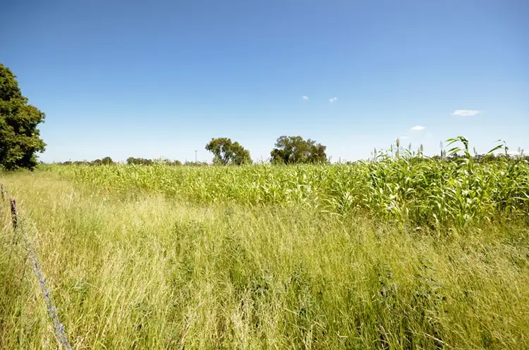 Fifth view of Homely rural property listing, 11507 Dawson Highway, Biloela QLD 4715