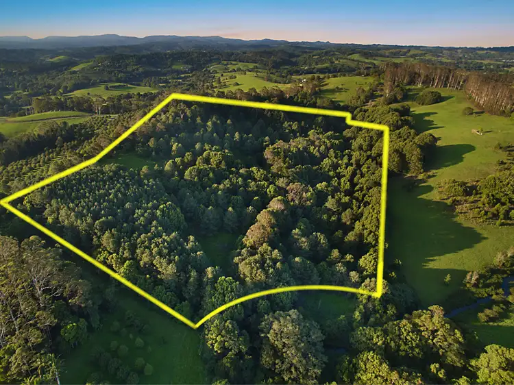 Second view of Homely house listing, 159 Flowers Road, Binna Burra NSW 2479