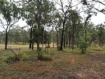 Third view of Homely rural property listing, Address available on request