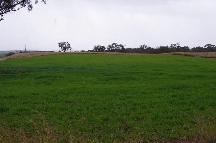 3067 Strattons Lane, Inverell NSW 2360