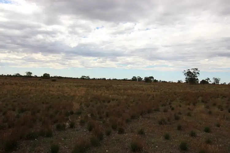 Third view of Homely rural property listing, Section 110 Skurray, Blanchetown SA 5357