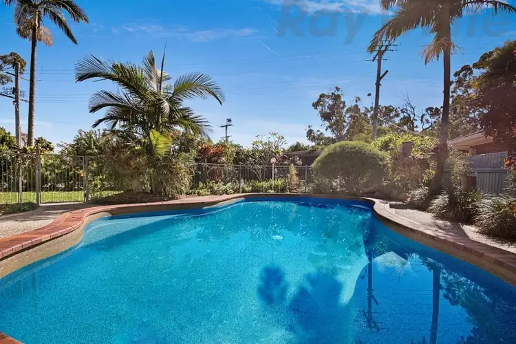 Second view of Homely house listing, 59 Bluebell Street, Alexandra Hills QLD 4161