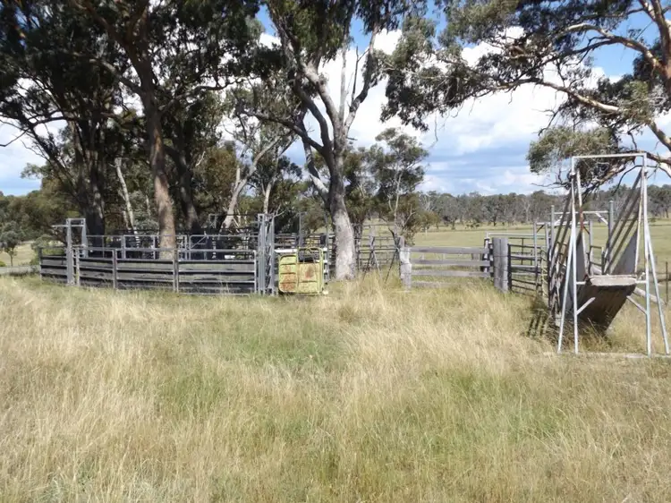Fifth view of Homely rural property listing, 849 New England Highway, Glen Innes NSW 2370