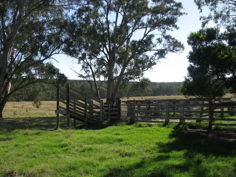 Sixth view of Homely rural property listing, 00 Miller Street, Dartmoor VIC 3304