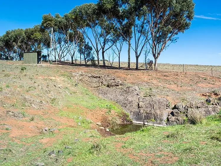 Seventh view of Homely rural property listing, 56 Hollamby Road, Callington SA 5254