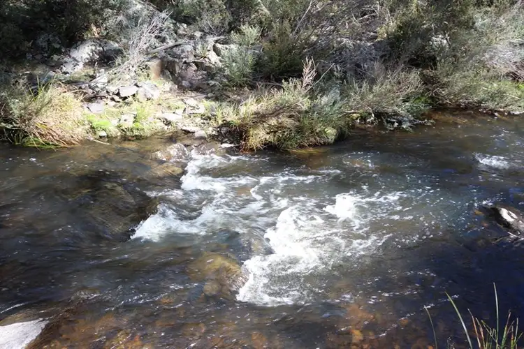 Seventh view of Homely rural property listing, 381 Sheepstation Forest Road, Oberon NSW 2787