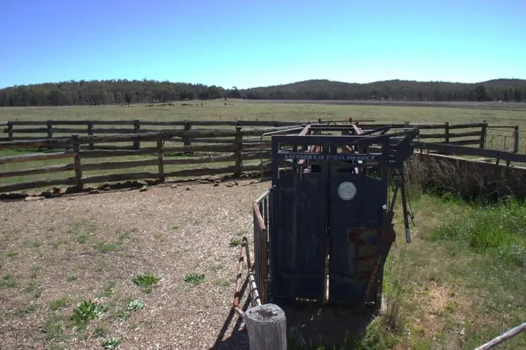 Second view of Homely rural property listing, 230 Tothills "BANGALAY NORTH", Coonabarabran NSW 2357