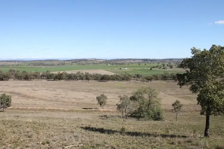 Main view of Homely rural property listing, 1820 Kamilaroi Highway, Quirindi NSW 2343