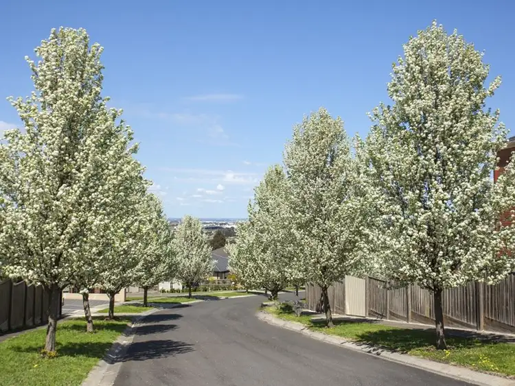 Fifth view of Homely land listing, 46 Excelsior Heights, Craigieburn VIC 3064