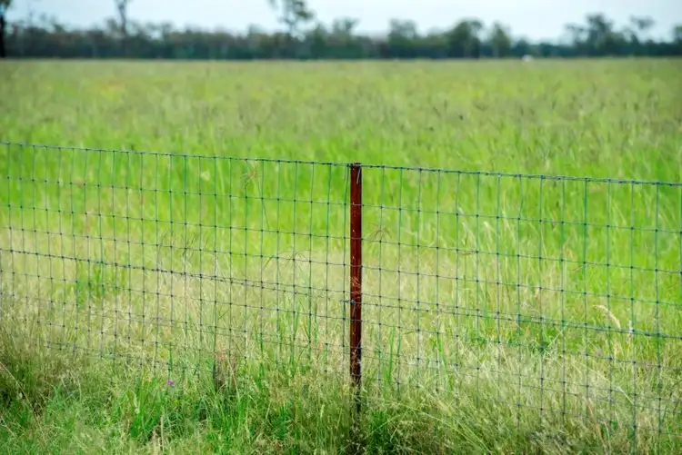 Seventh view of Homely rural property listing, 1400 Merton Road, Yelarbon QLD 4388